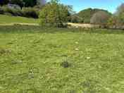 Camping field