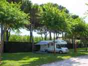 Shaded by trees