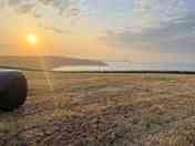 Camping field looking over cliffs to the North Sea