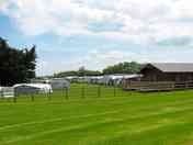 More of our pitches in beautiful surroundings