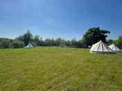 Well-maintained grass pitches