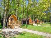 Pods under trees