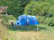 Small tent pitch