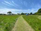 Driving tracks through the fields