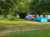 Electric grass pitch