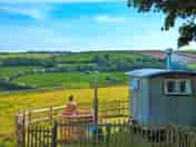 The Shepherd's Hut and its wood-fired hot tub (added by manager 18 Oct 2022)