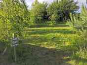 Grass pitches