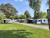 Grass pitches
