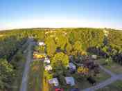 Pitches among the trees