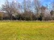 Tent pitches divided by longer uncut grass