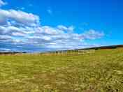 Looking up the site to standard pitches