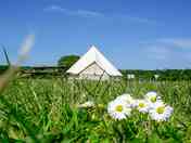 Fancy pitching your tent in the meadow? (added by manager 09 Apr 2024)