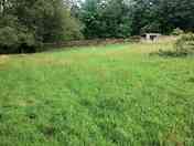 One of the flat areas to pitch