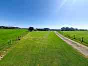Grassy pitches