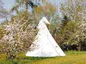 Tipi between the trees (added by manager 27 Jan 2021)