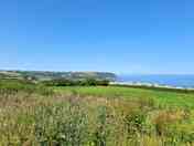 Field and views