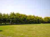 Grass pitches