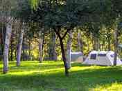 Surrounded by trees