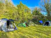 The grass pitches