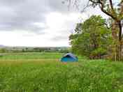 Grass pitches