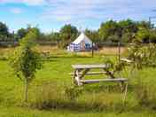 Tent pitches with beautiful wild seating area