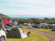 Grass pitches