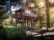 Casa en el Árbol : Avet
