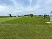 Grass pitches