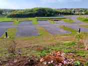 Hardstanding pitches
