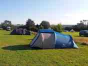 Large pitch for up to 3 tents