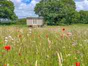 Shepherds Hut