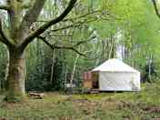 Yurt in woods