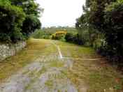 Grass pitches