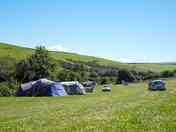 Green and peaceful surroundings