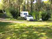 Spacious pitches surrounded by trees