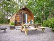 Firepit and picnic table