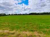 The three-acre camping field