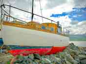 Nestled into the slate on our foreshore...