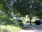 Down to the Lake View grass pitches