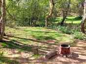 Paul's pitch and firepit