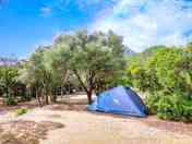 Pitches on site