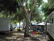 Pitches under the trees