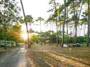 Large tree-lined pitches (added by manager 26 Jul 2023)