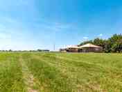 Meadow