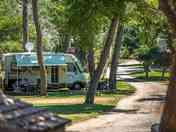 Pitches shaded by trees