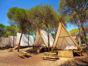 Tipis in a row (added by manager 09 Jan 2024)