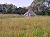 The bell tent (Foxes Den) (added by manager 31 Jul 2023)