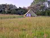 The bell tent