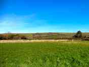 View from the pitches