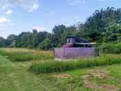Grass pitch
